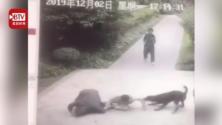 监拍危险一幕：男子在小区遭恶犬撕咬受伤  狗主人拼命拉扯拦不住