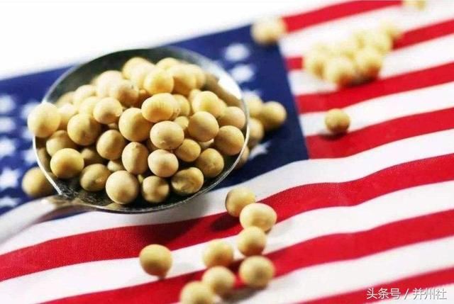 美国要凉凉了?我国拒绝进口美国大豆后,这一市