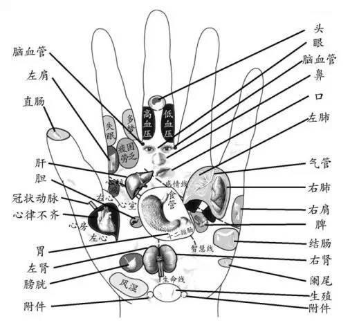 手掌手背可以治百病的穴位，90%的人不知道!