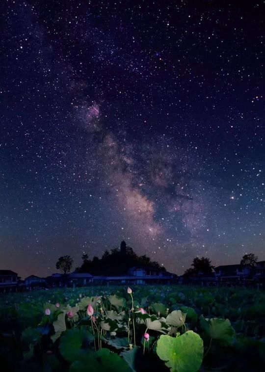 本月27日 2018四川开江第五届荷花节开幕