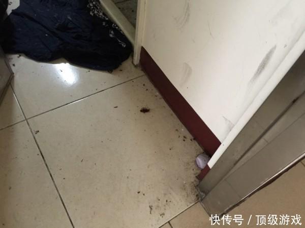 当房东进入女生的退租房间后,瞬间晕眩休克!场