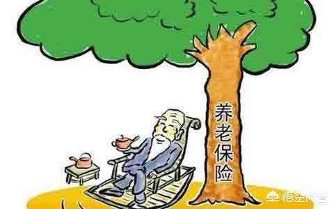 职工养老保险和农村养老保险同时交纳后果会怎