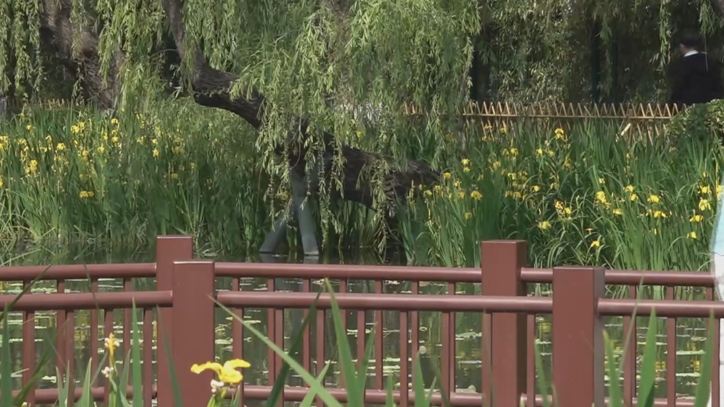 5月9日晴晒不减 5月10日北京大部有雷阵雨