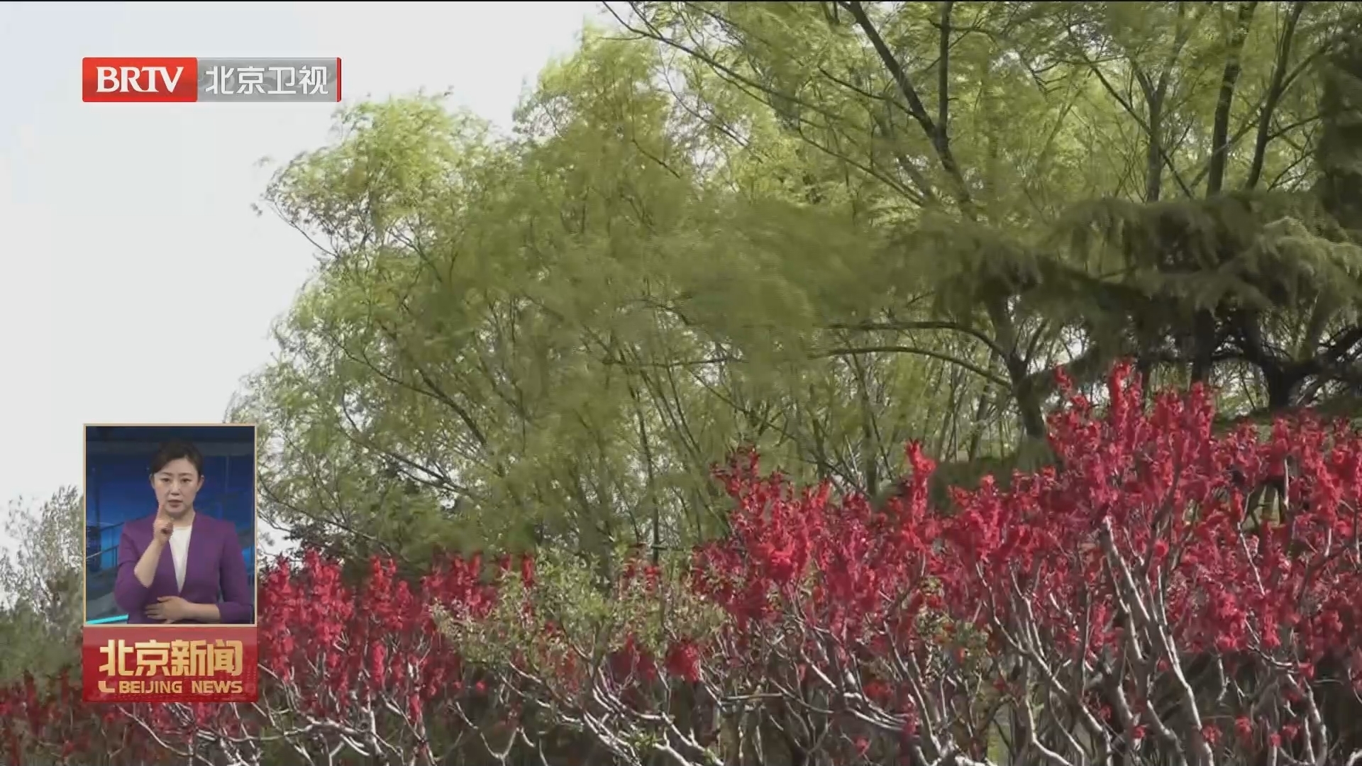 市气象台解除沙尘蓝色预警信号