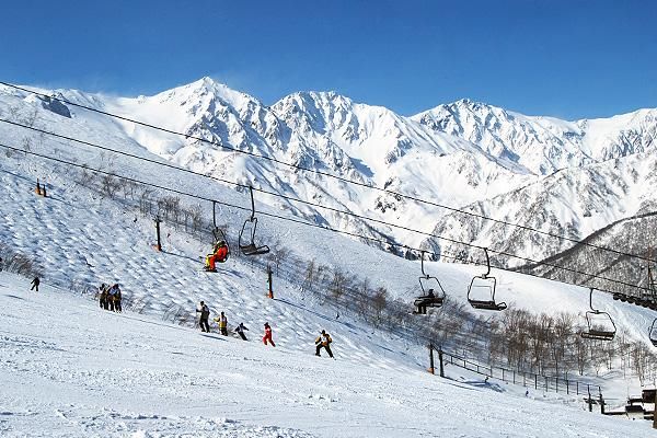 长野白马八方尾根滑雪场国际色彩浓 春雪有望