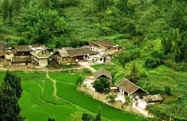 沧州农村宅基地、承包地确权发证时间定了!农