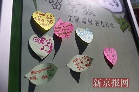 小朋友在文明游园的留言板上留言.