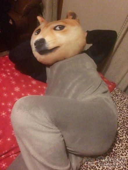 搞笑GIF趣图幽默段子:中国队进入世界杯只需5