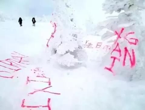 中国人在海外迎来丢脸潮,为什么境外网友这么