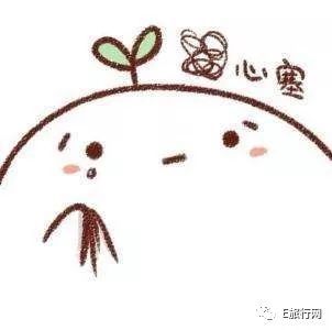 防雷全攻略!机票出票失败?护照号码填错?其实