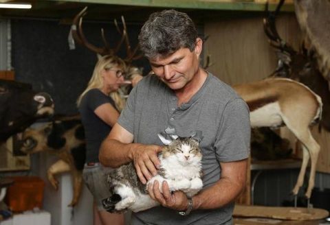 宠物去世后主人难以接受,把它做成标本永远留