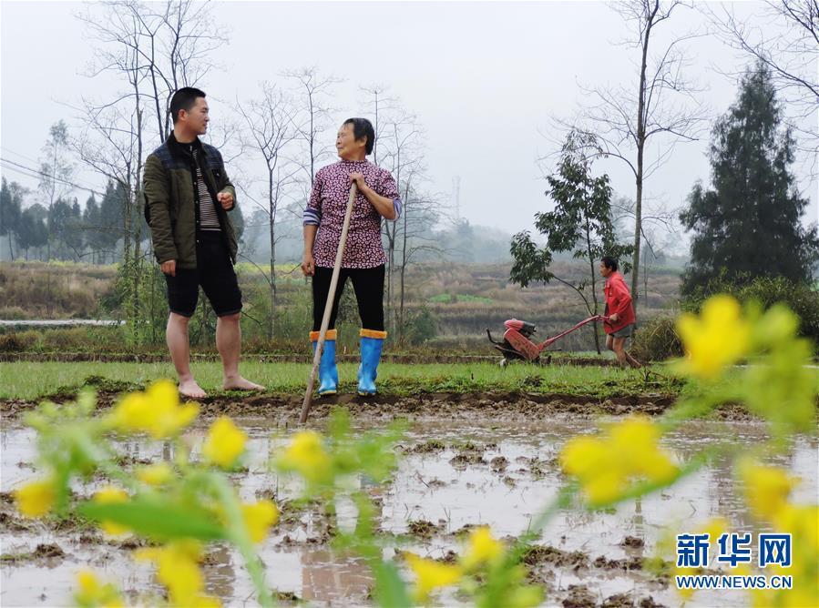 3月12日,四川省达州市渠县石桌村“第一书记”、退伍军人王磊(左一)和村民在田间开展春耕备耕。 新华社发(邓良奎 摄)