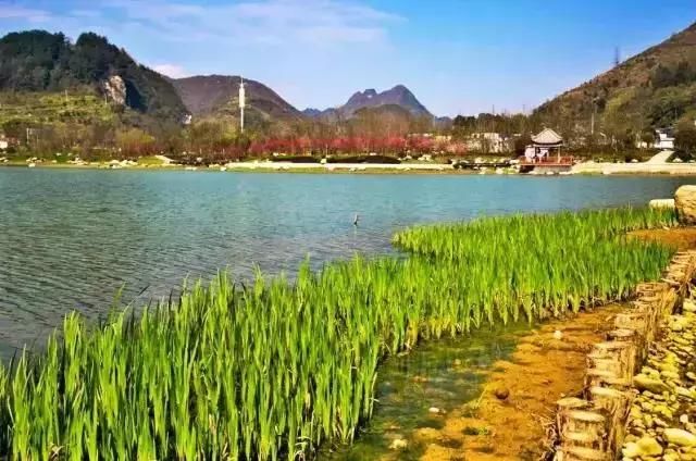 漂亮!又被遵义这个湿地公园美景镇住了