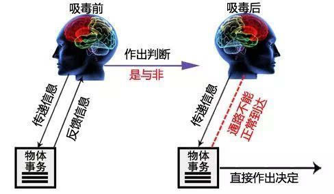 僅僅吸食一次冰毒,也會對大腦造成永久的不可逆的損傷!