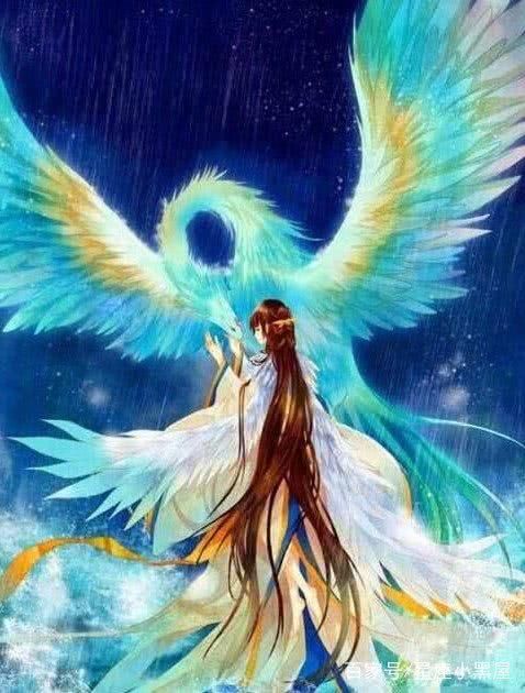 十二星座化身凤凰女神,狮子座的妖艳,金牛座的