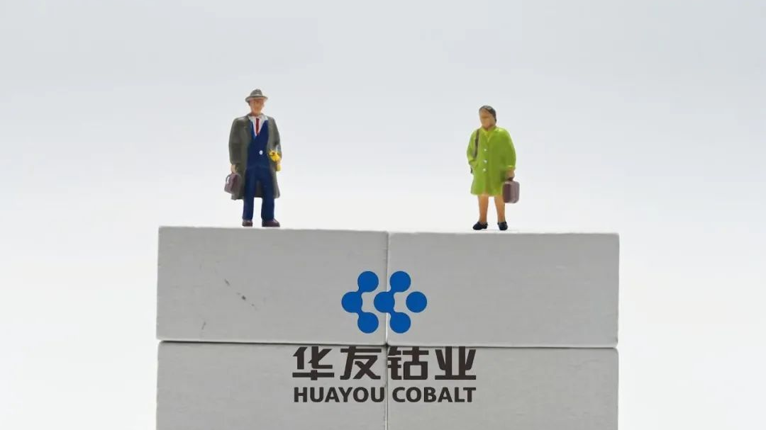 千亿钴业巨头被问询：拟14亿重购巴莫科技，业绩承诺未竟却估值增长