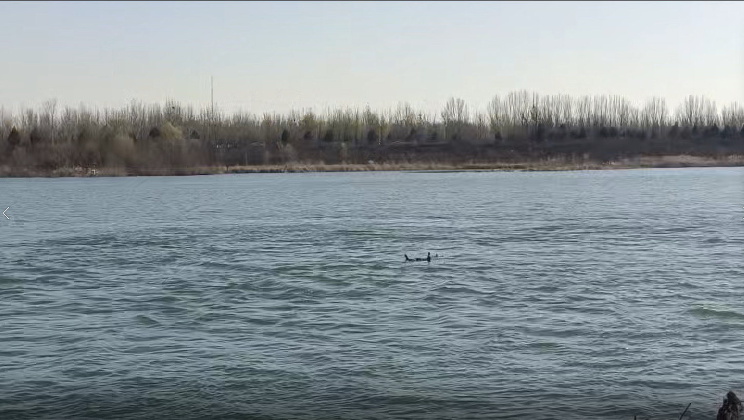 生死时速十分钟!怀柔消防成功营救潮白河轻生女子 生死时速十分钟!怀柔消防成功营救潮白河轻生女子