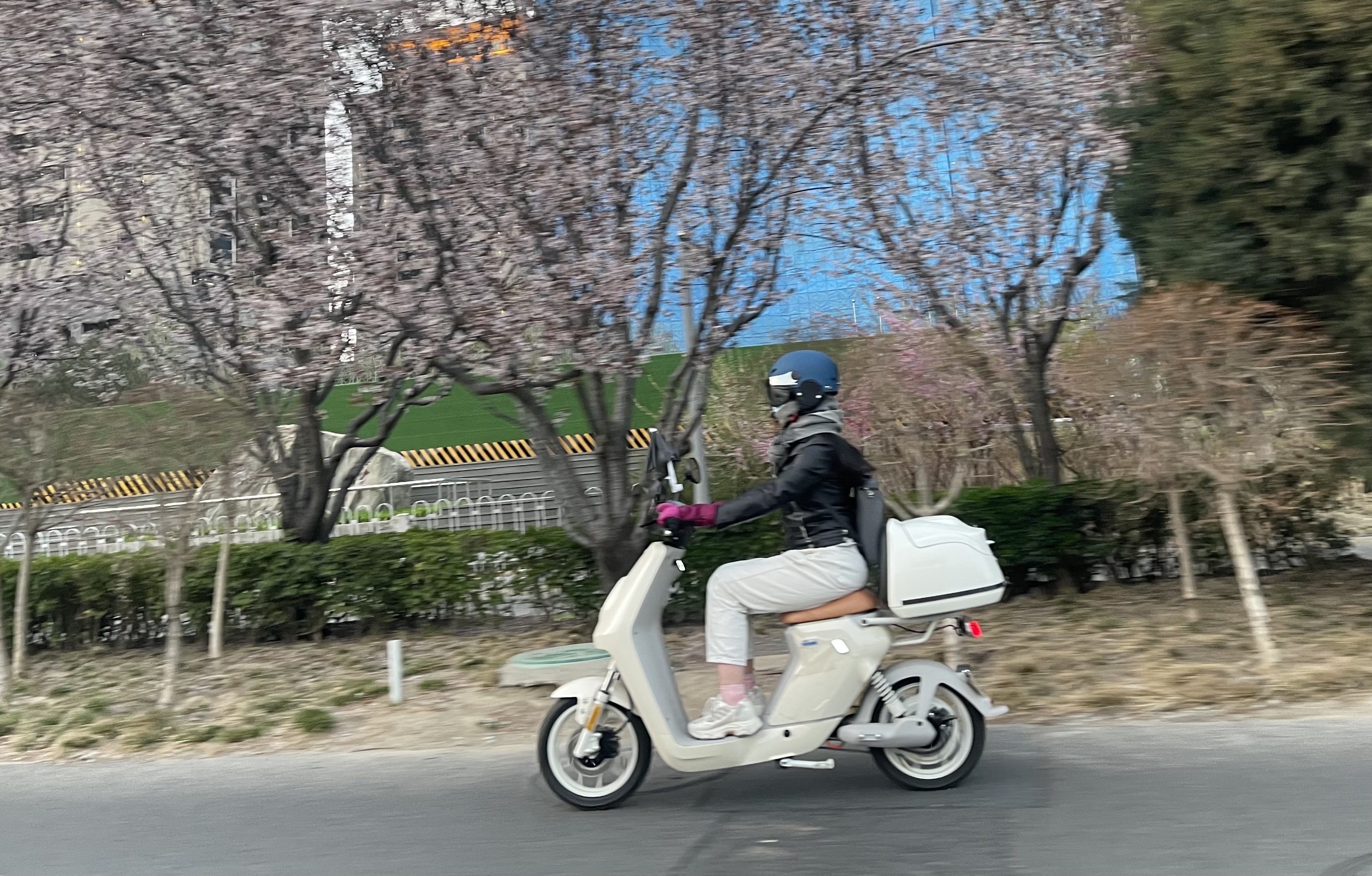 北京入春了,但寒潮来了—— 北京入春了,但寒潮来了——