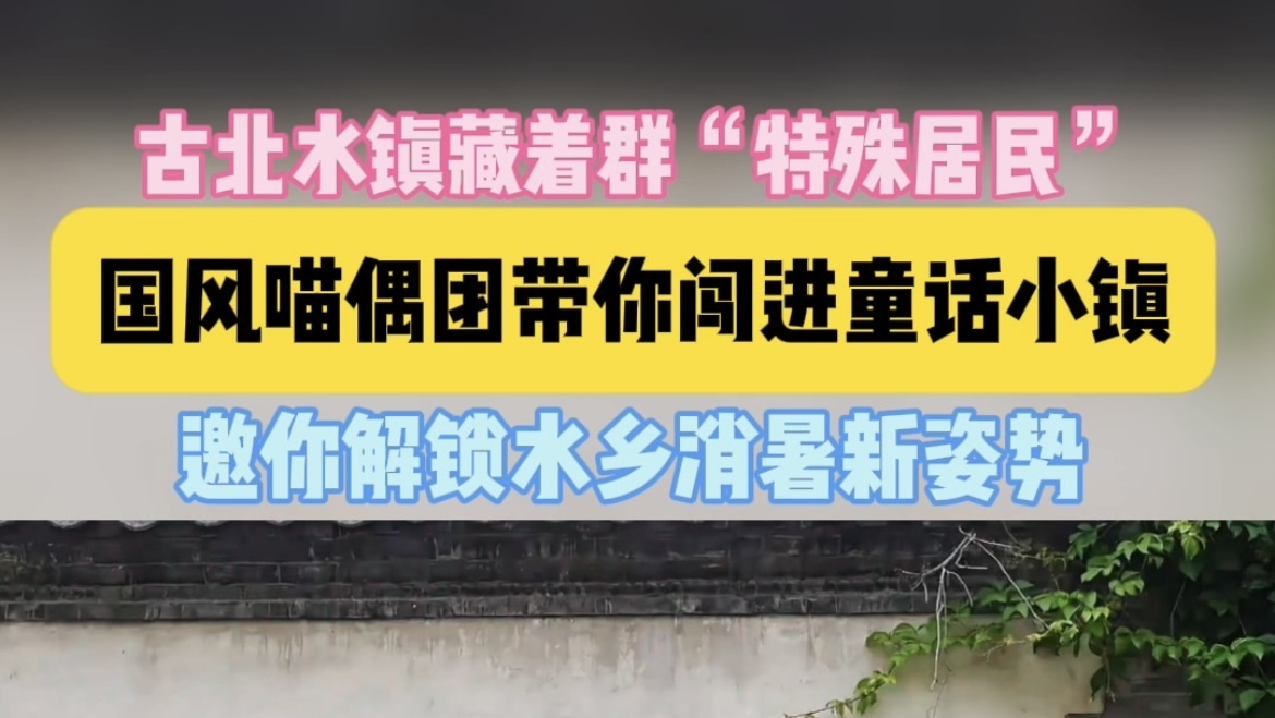 古北水镇萌猫IP来啦！国风喵偶团带你闯进童话小镇