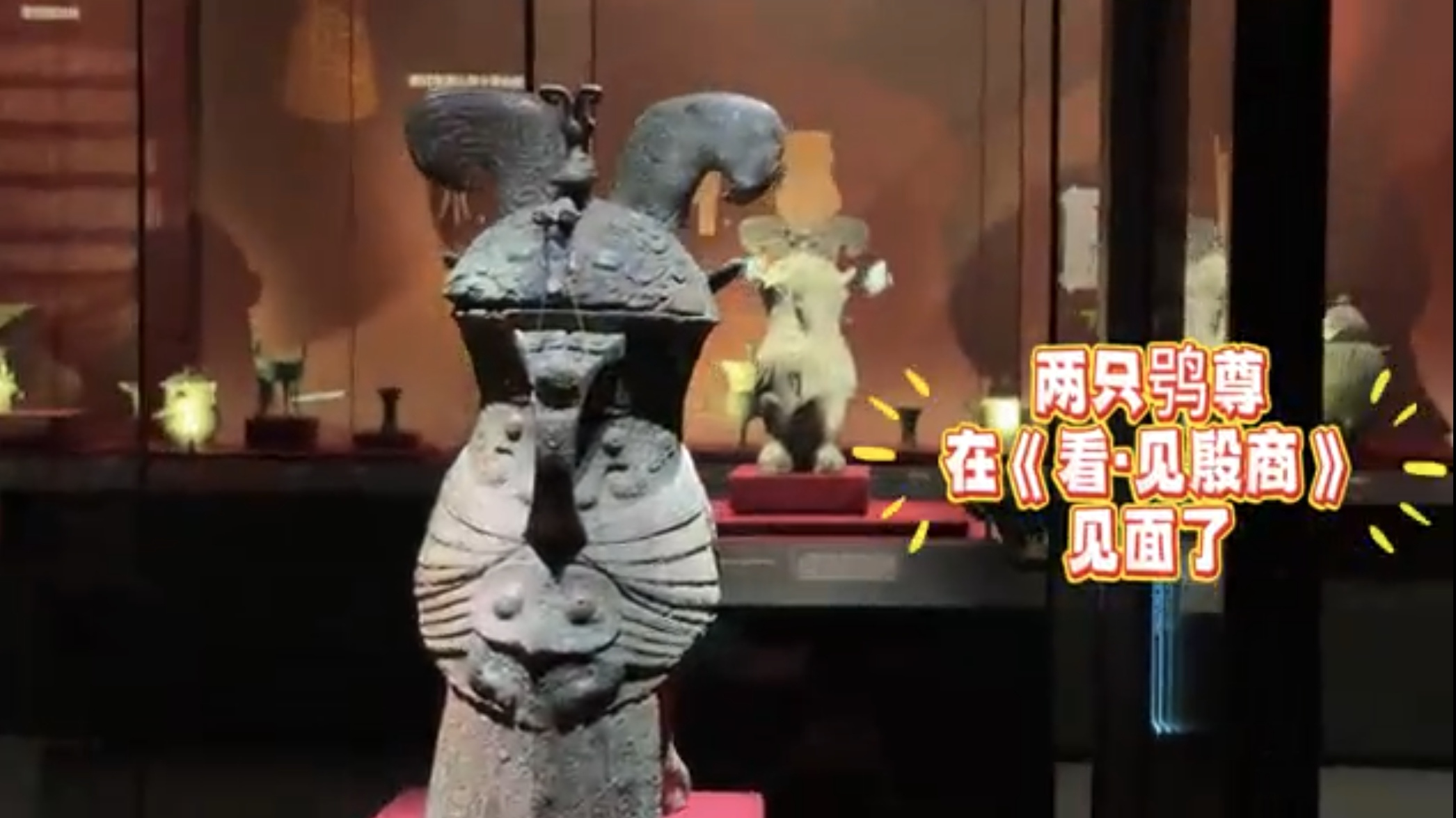 直击重逢现场，国博鸮尊与河南省博鸮尊终于见面了