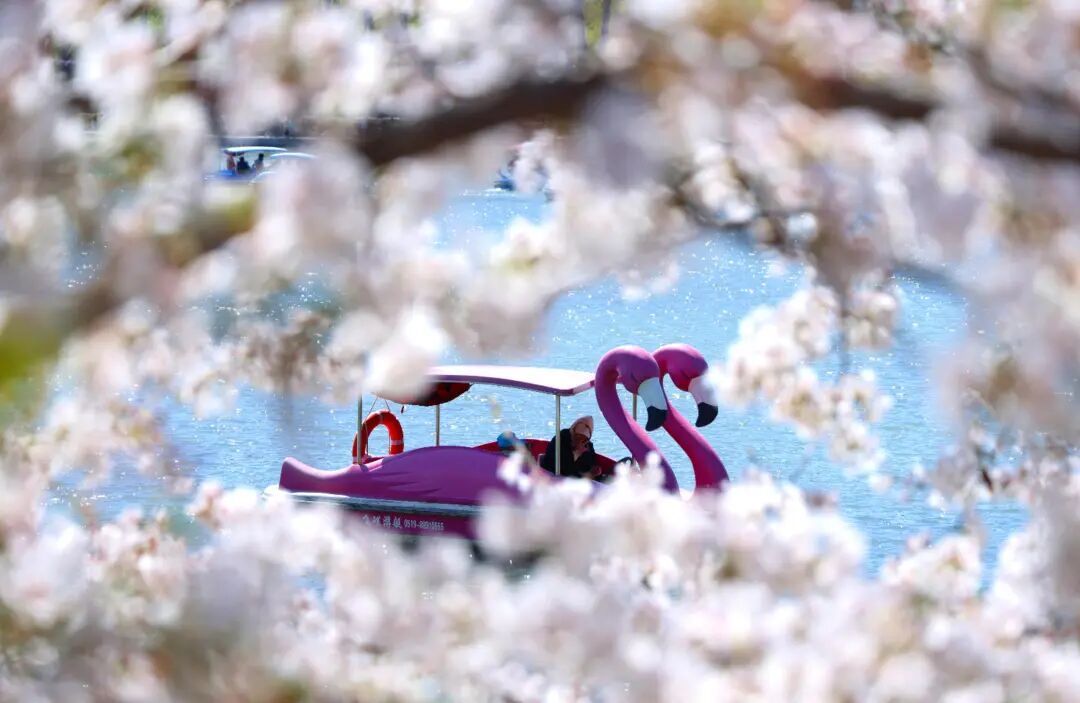 北京三月天气多变！收好这份防护指南