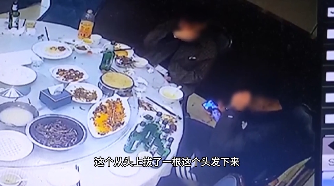 “薅头发放到菜里”伪造异物,海淀打击恶意索赔7起 “薅头发放到菜里”伪造异物,海淀打击恶意索赔7起