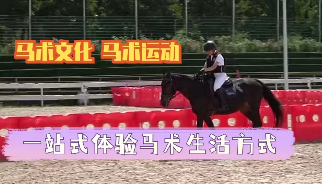 暑期到！来朝阳公园骑马吧！