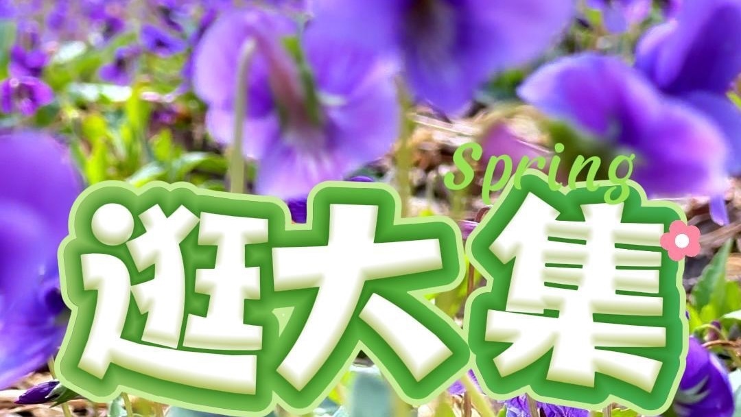 北京正迎来紫色花海！