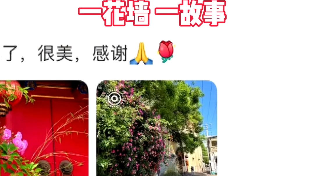 一花墙,一故事!他说:给北京长脸了,我自豪 一花墙,一故事!他说:给北京长脸了,我自豪