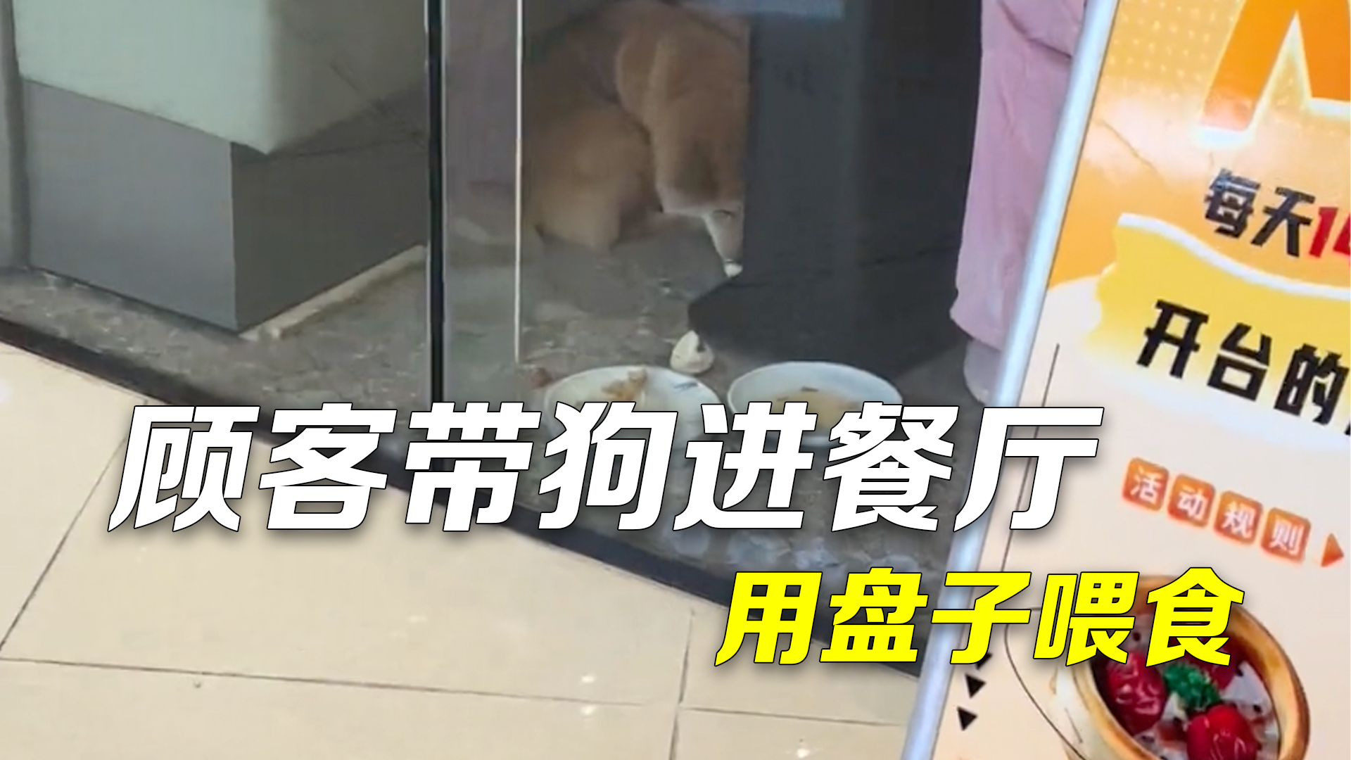 店铺回应顾客带狗进餐厅用盘子喂食：用过的餐具扔掉了