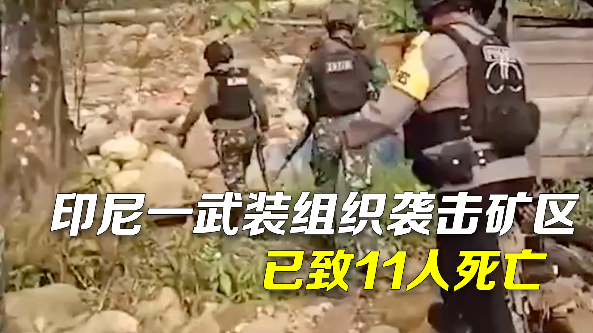 印尼一武装组织袭击占领矿区:挟持2名平民人质,已致11人死亡 印尼一武装组织袭击占领矿区:挟持2名平民人质,已致11人死亡