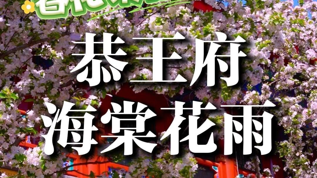 恭王府海棠花雨绝了，邂逅最美人间四月天！