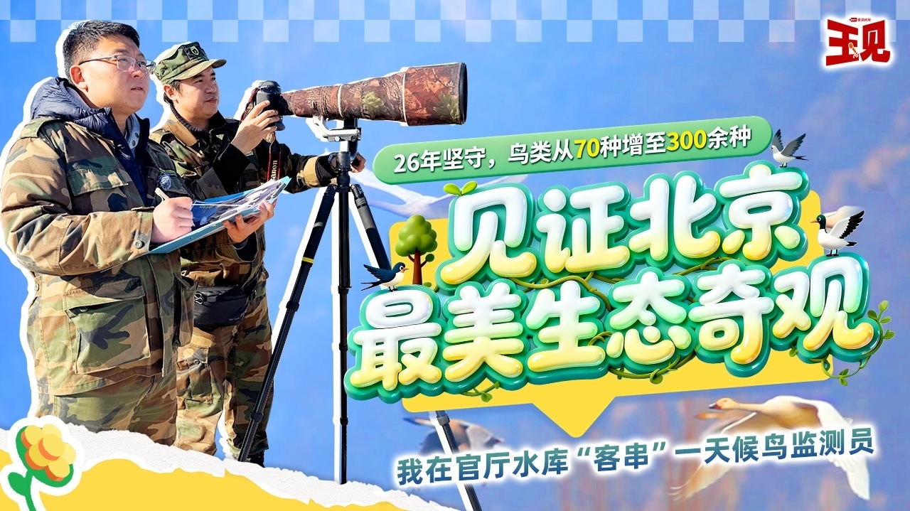 26年坚守，鸟类从70种增至300余种，见证北京最美生态奇观