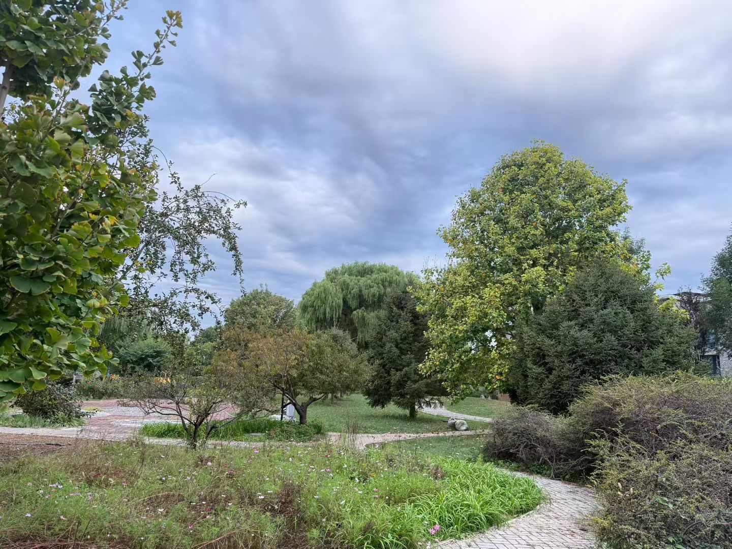 最高气温11℃ 冷空气一波接一波 寒潮继续蓝色预警中 最高气温11℃ 冷空气一波接一波 寒潮继续蓝色预警中