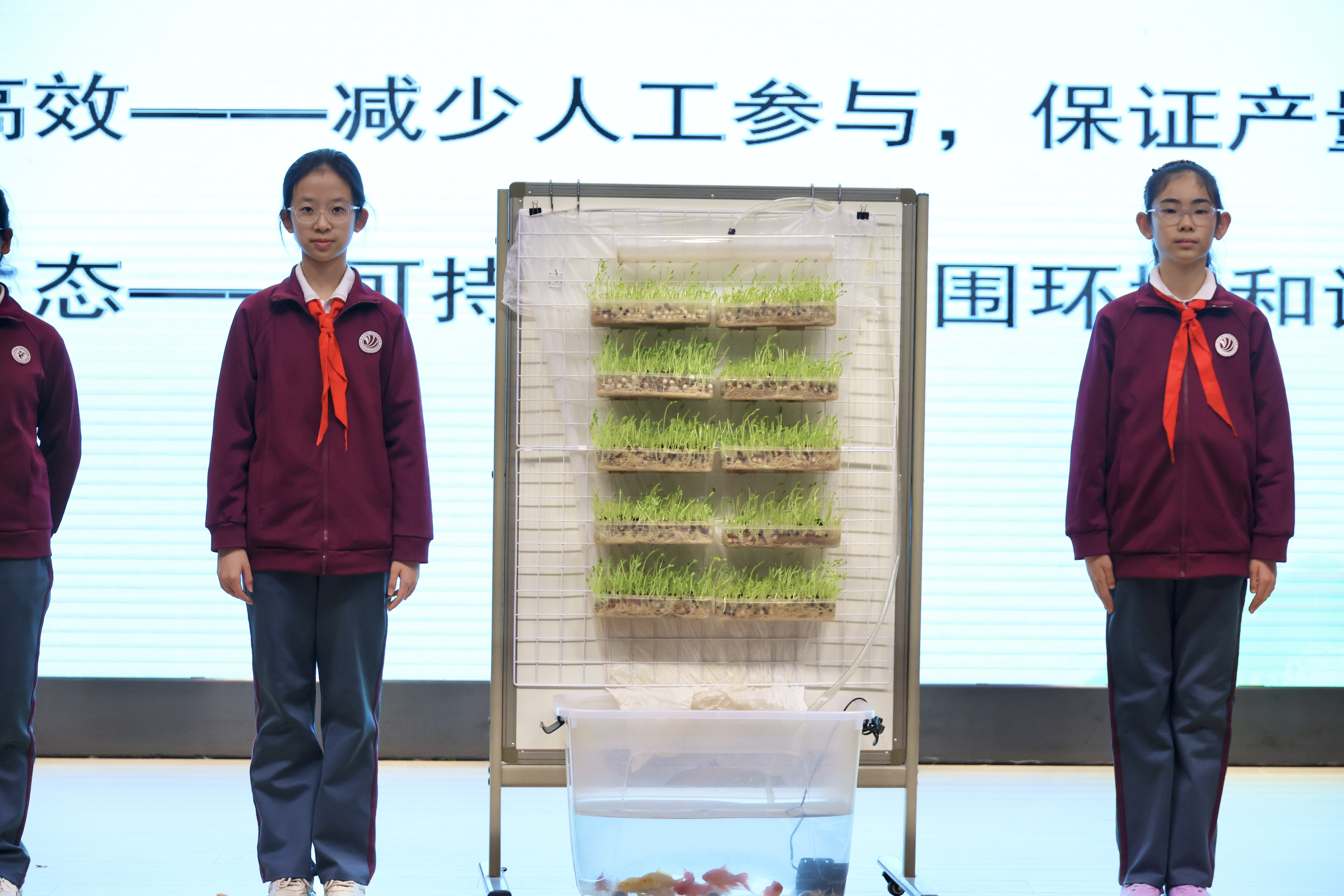 四十余万名学生参与，2025年北京市学生植物栽培大赛规模再创新高