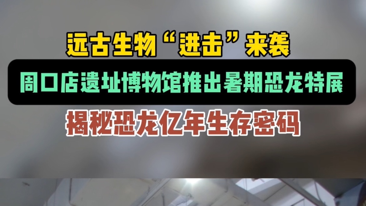 揭秘恐龙亿年生存密码！周口店遗址博物馆推出暑期恐龙特展 