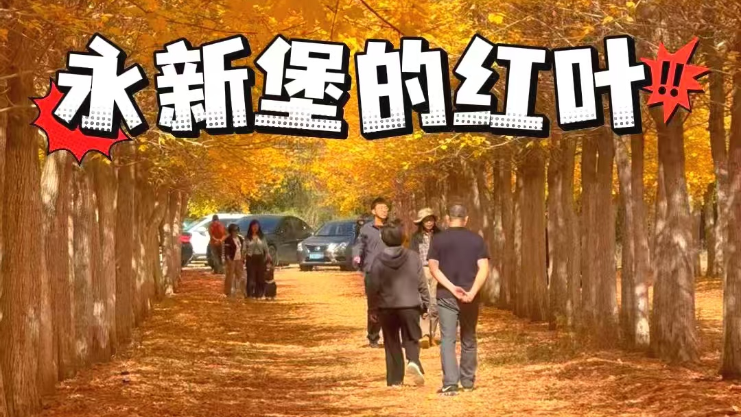 延庆红叶之永新堡的红叶红了