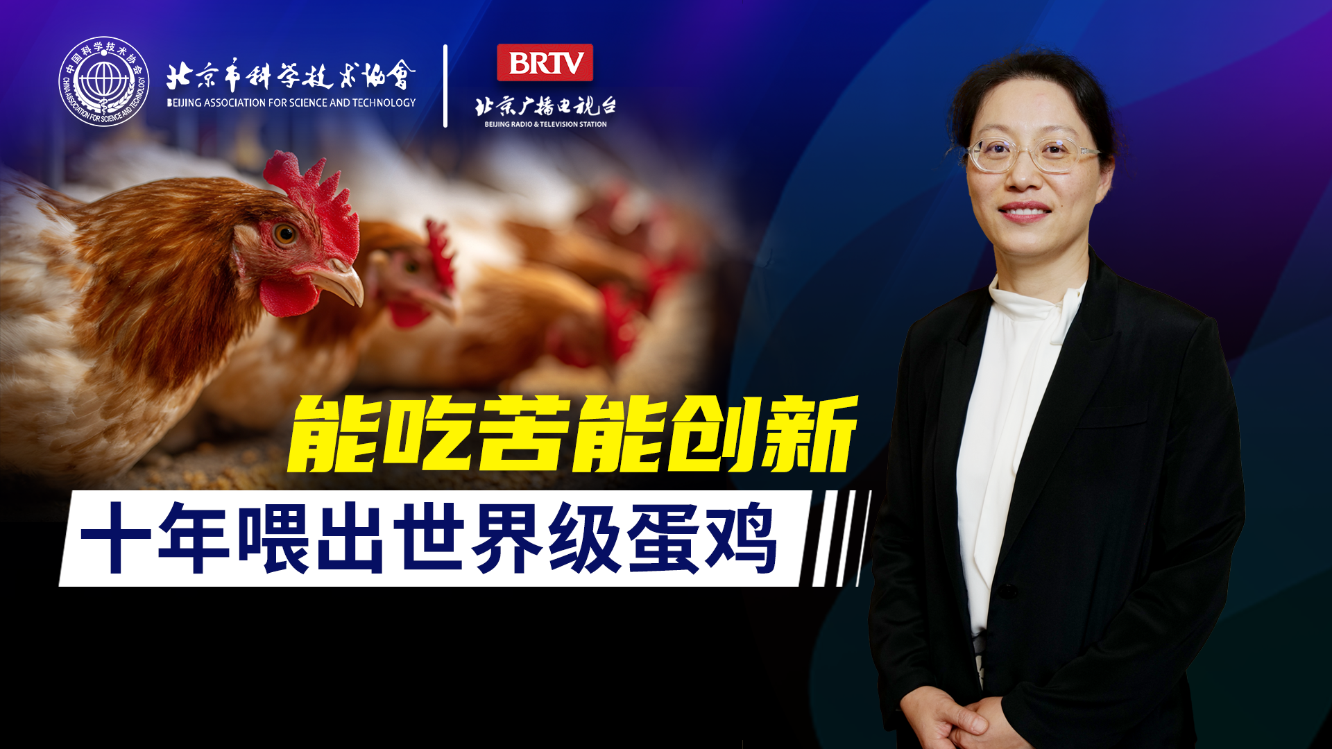 能吃苦能创新:十年喂出世界级蛋鸡 能吃苦能创新:十年喂出世界级蛋鸡
