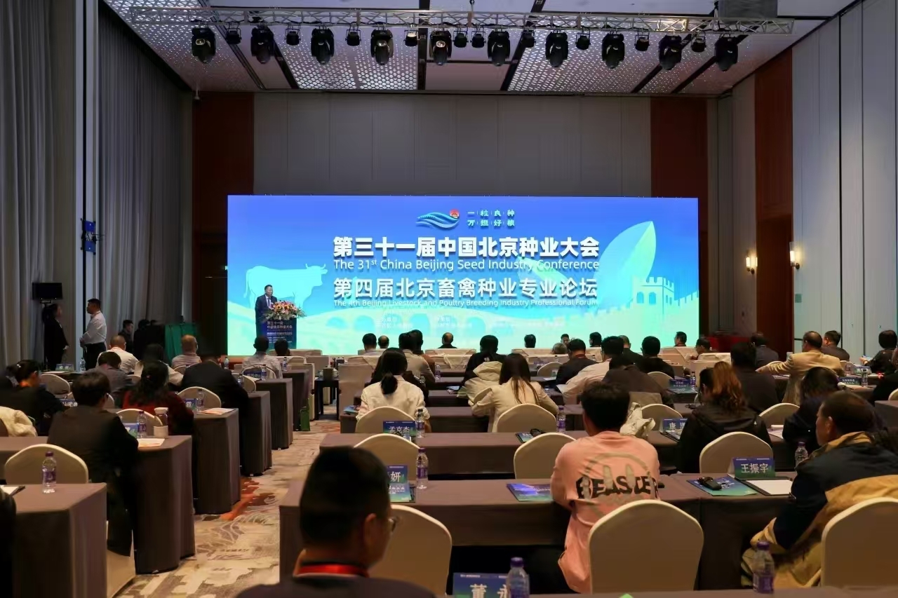 助力奶业发展!奶牛育种新数据库在平谷发布 助力奶业发展!奶牛育种新数据库在平谷发布