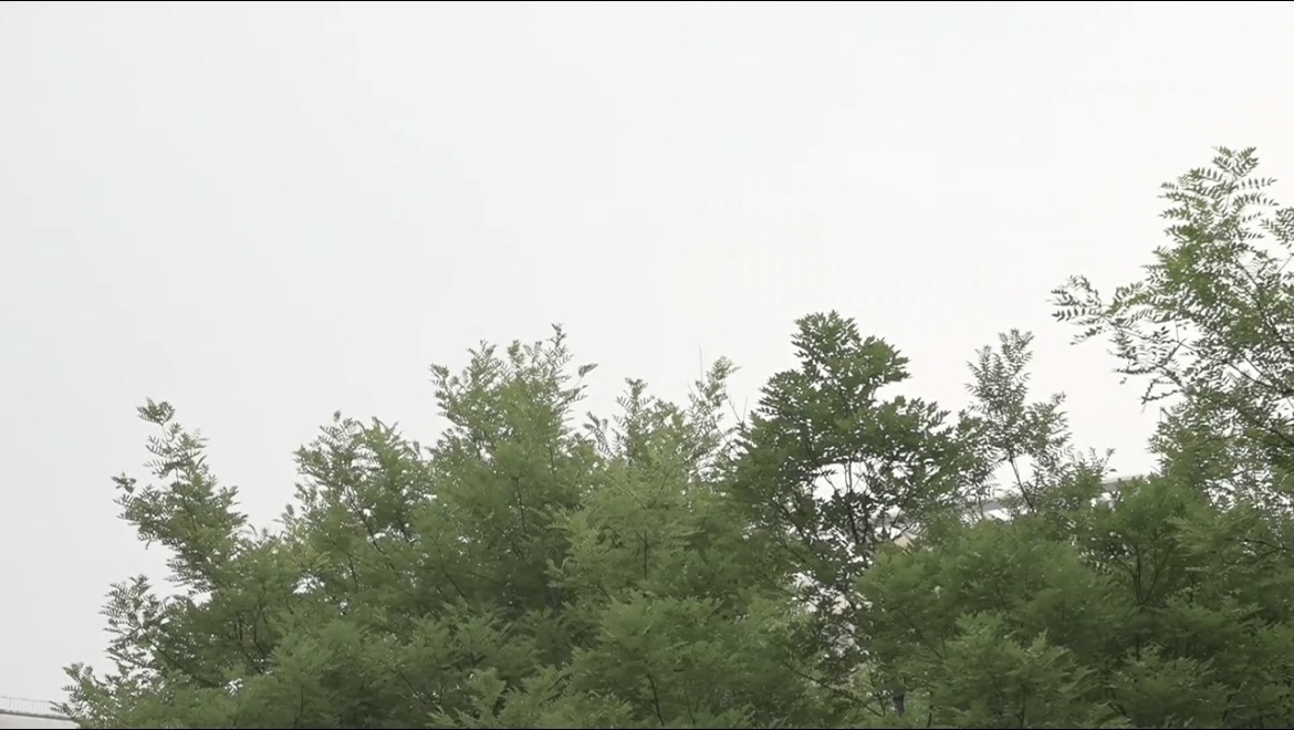 多预警齐发,北京启动防汛四级响应 多预警齐发,北京启动防汛四级响应