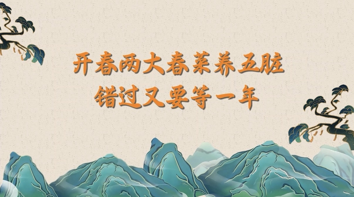 开春两大春菜养五脏,错过又要等一年! 开春两大春菜养五脏,错过又要等一年!