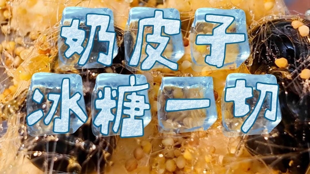 在家就能做！奶皮子冰糖一切！