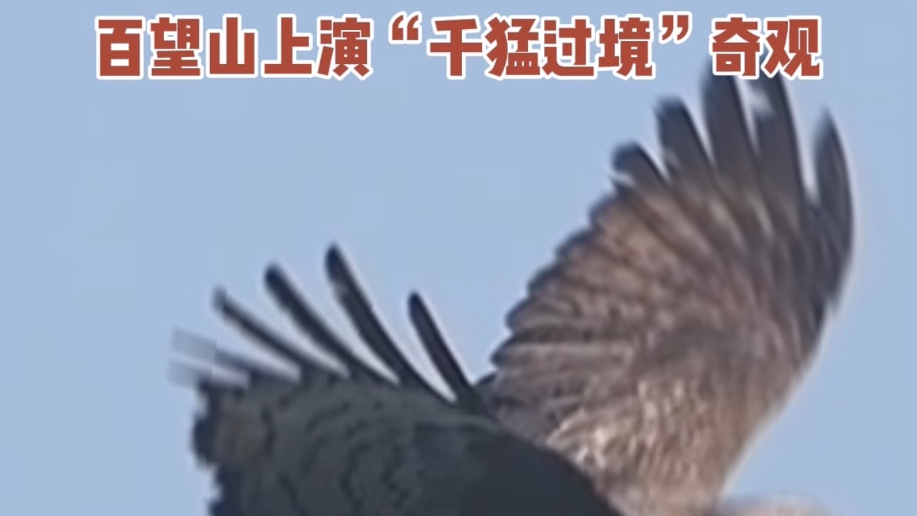 震撼！真真的鹰击长空！史上“最帅天团”集体亮相北京上空