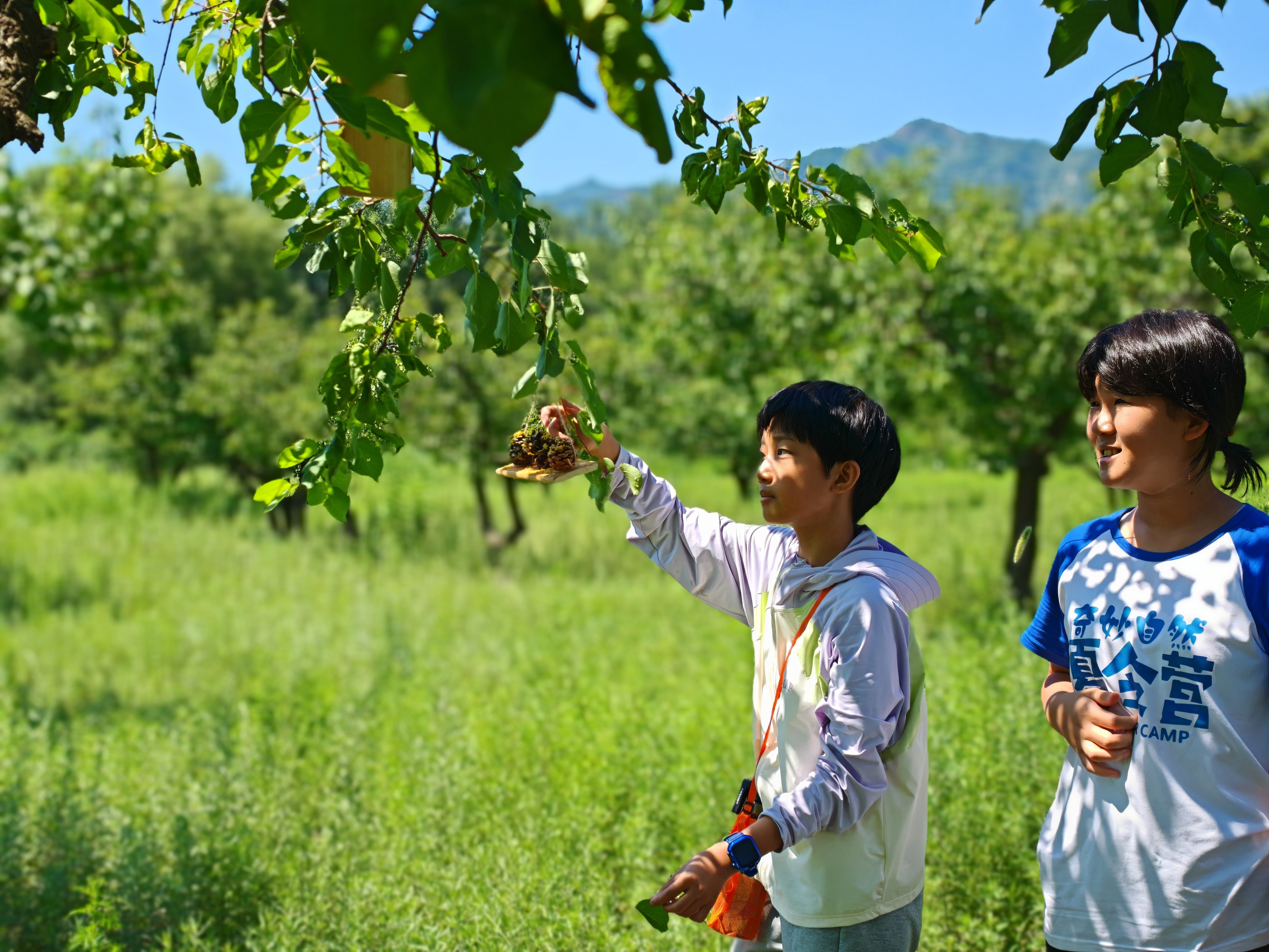 第五届“奇妙自然·生态密云”野外探索夏令营顺利举办 第五届“奇妙自然·生态密云”野外探索夏令营顺利举办