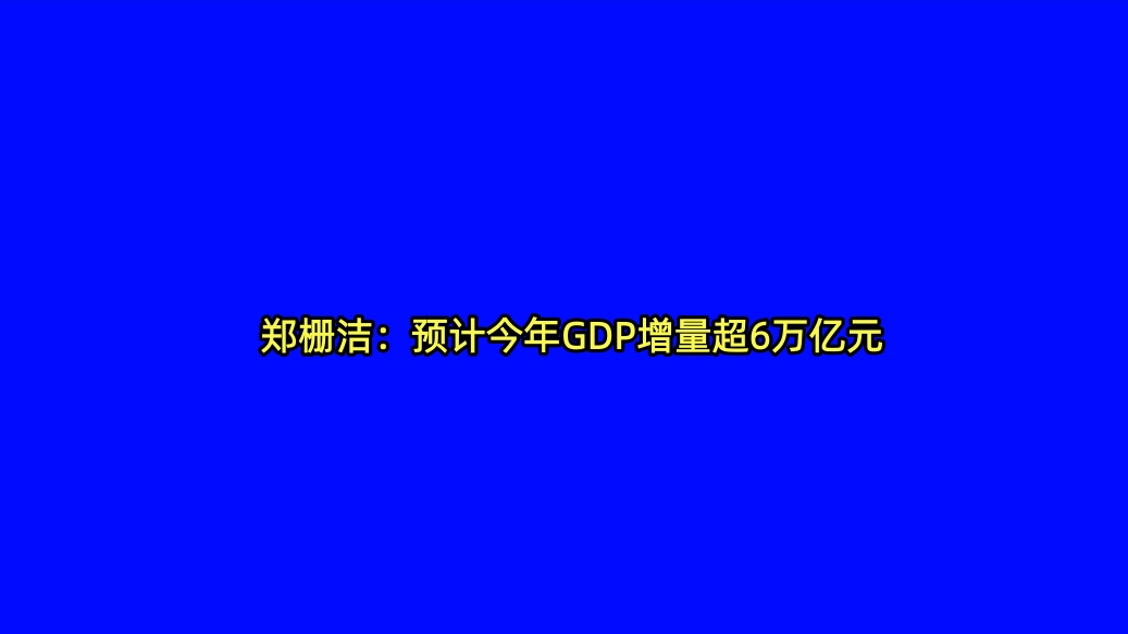 郑栅洁：预计今年GDP增量超6万亿元