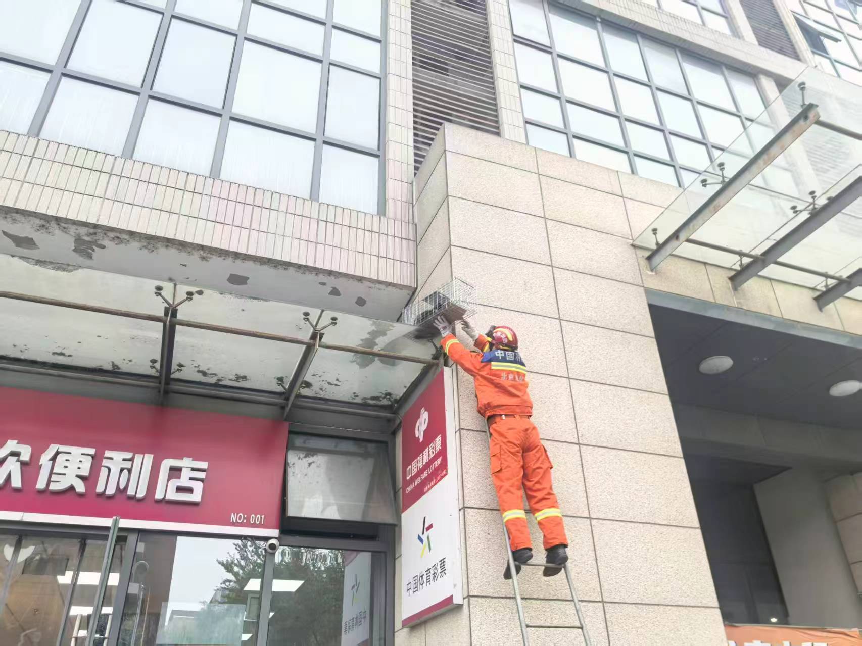 “喵”救援！开发区支队解救被困小猫