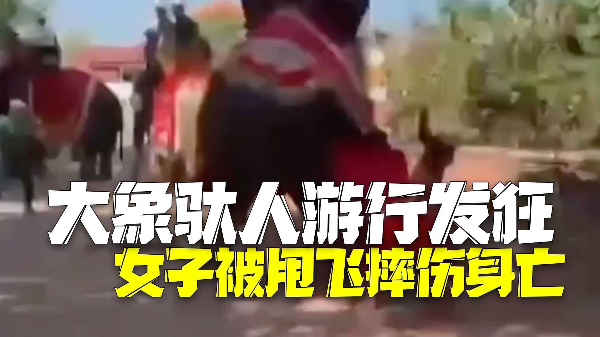 大象游行时发狂女子被甩飞身亡_北京时间