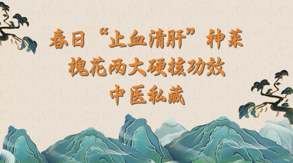 春日“止血清肝”神菜！槐花两大硬核功效，中医私藏