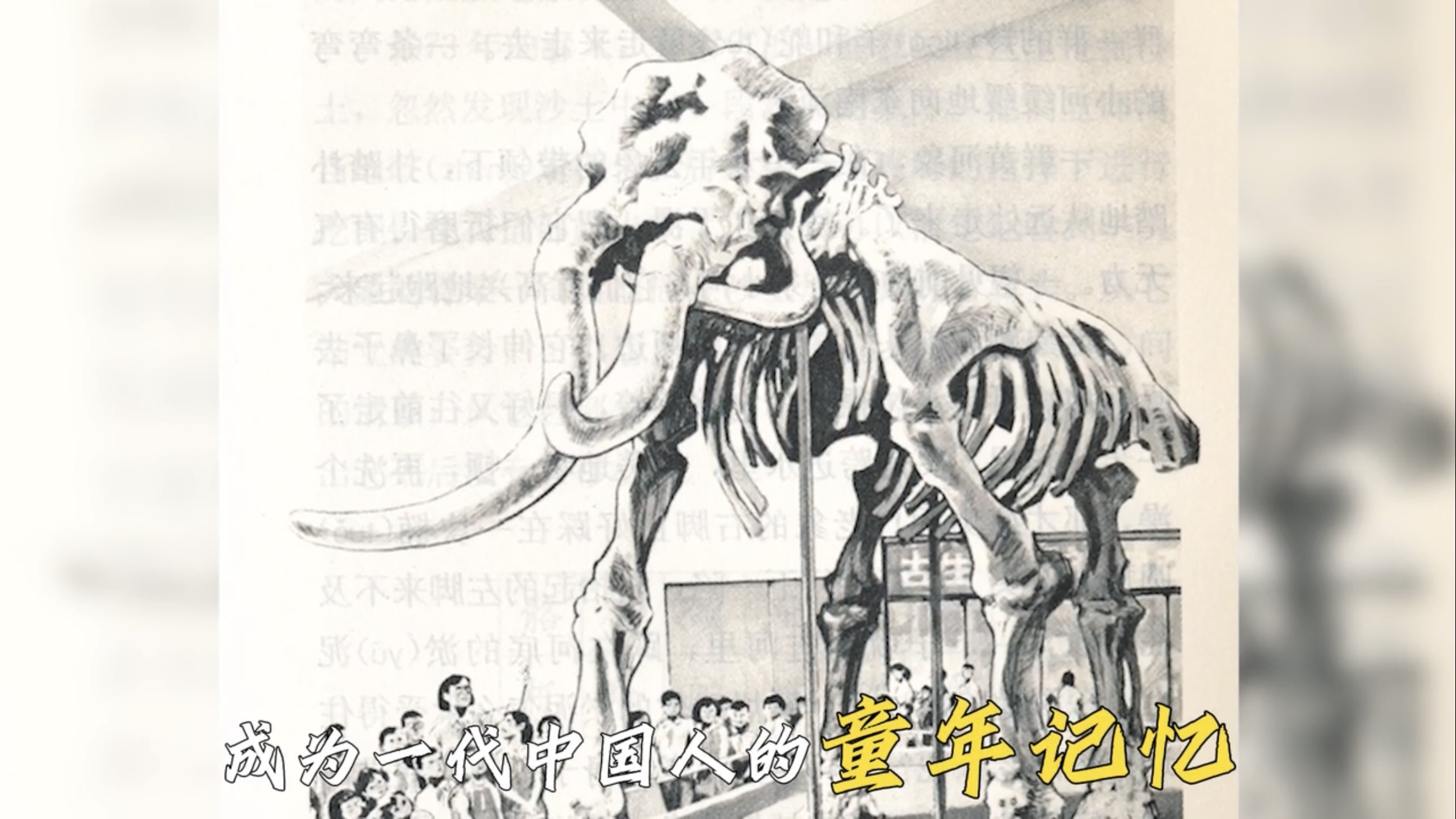 黄河象展出50年,一代中国人的童年记忆 黄河象展出50年,一代中国人的童年记忆