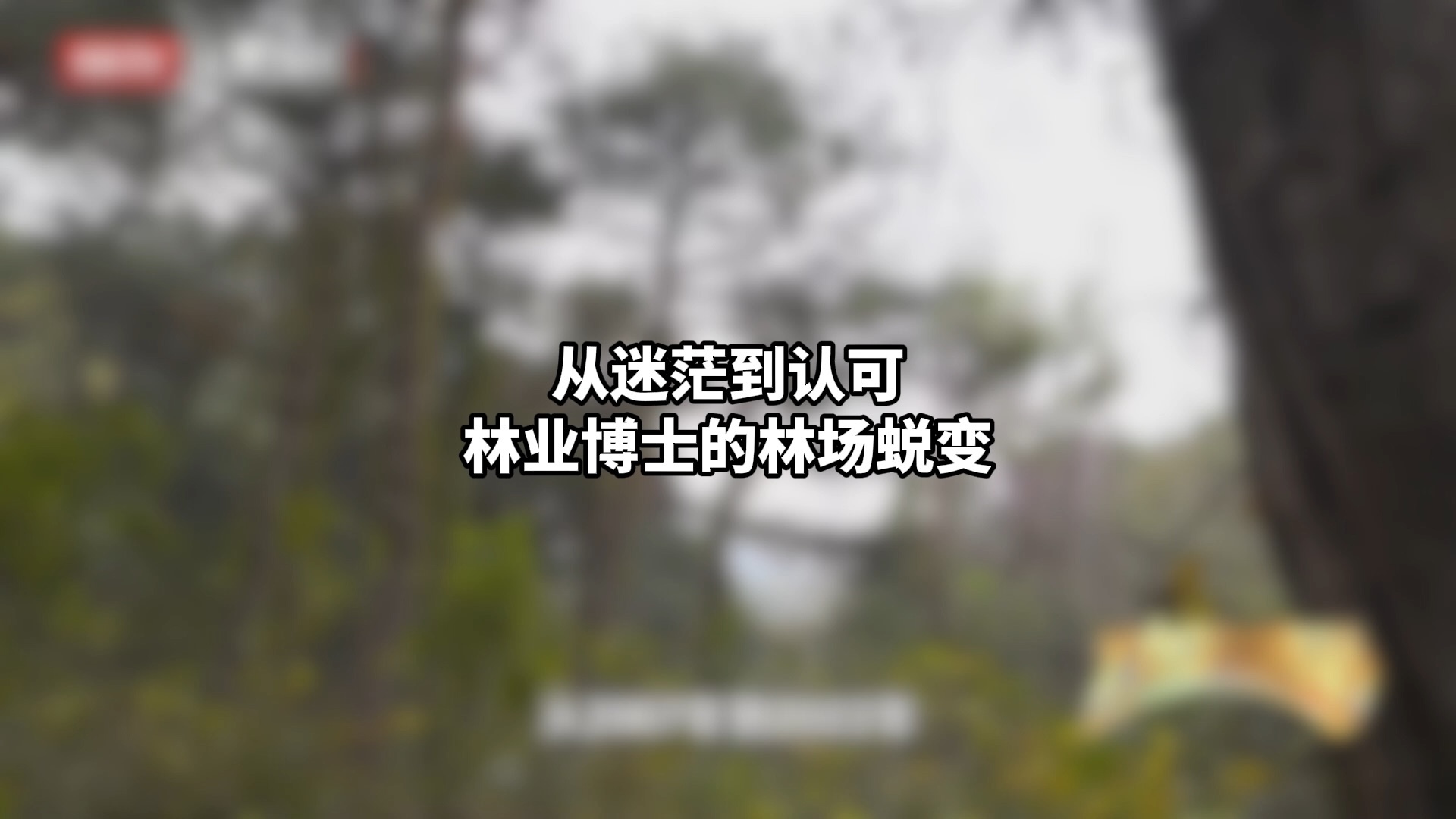 从迷茫到认可 林业博士的林场蜕变